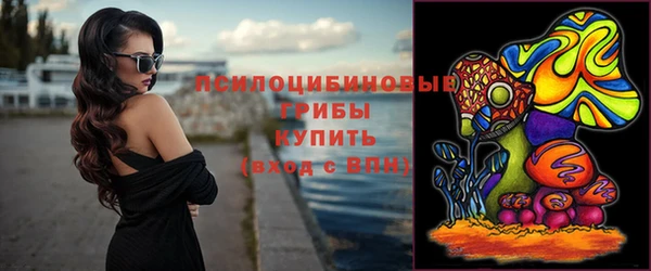 тгк Верея