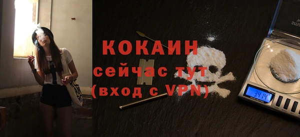 мяу мяу мука Белокуриха