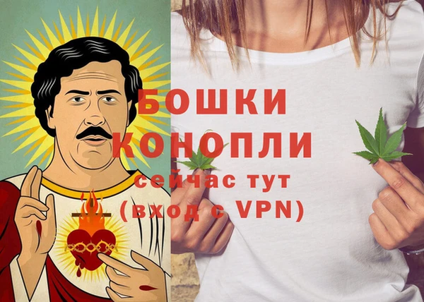 ГАЛЛЮЦИНОГЕННЫЕ ГРИБЫ Белоозёрский