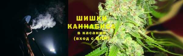 мяу мяу мука Белокуриха