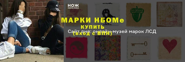 гидра Богородицк