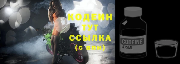 молекула духа Верхний Тагил