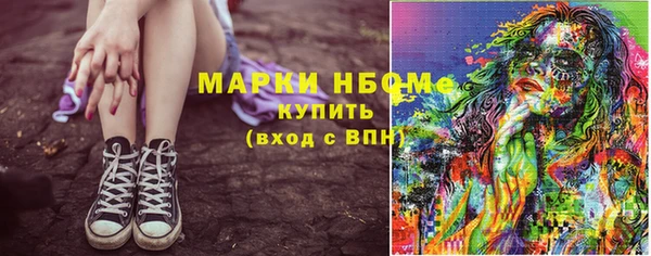 гидра Богородицк