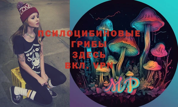 мяу мяу мука Белокуриха