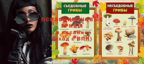 молекула духа Верхний Тагил