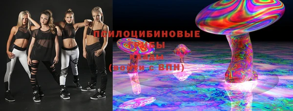 ГАЛЛЮЦИНОГЕННЫЕ ГРИБЫ Белоозёрский
