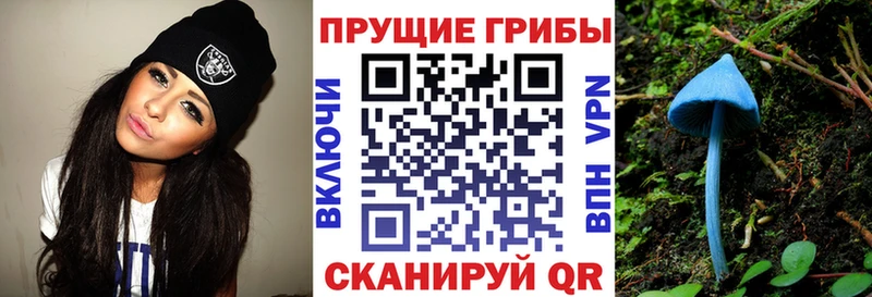 Галлюциногенные грибы ЛСД  где продают наркотики  Белокуриха 